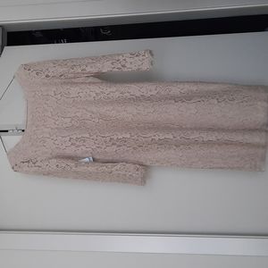 Aritzia Babaton Dress
